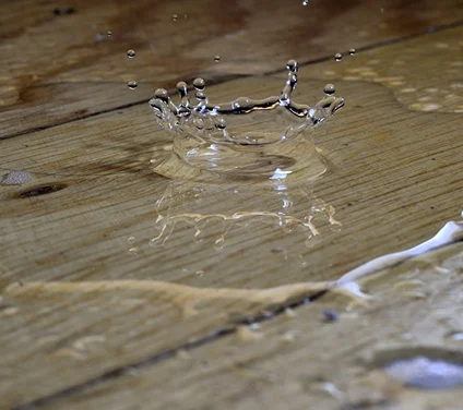 Water Damage Hardwood Floor Repair