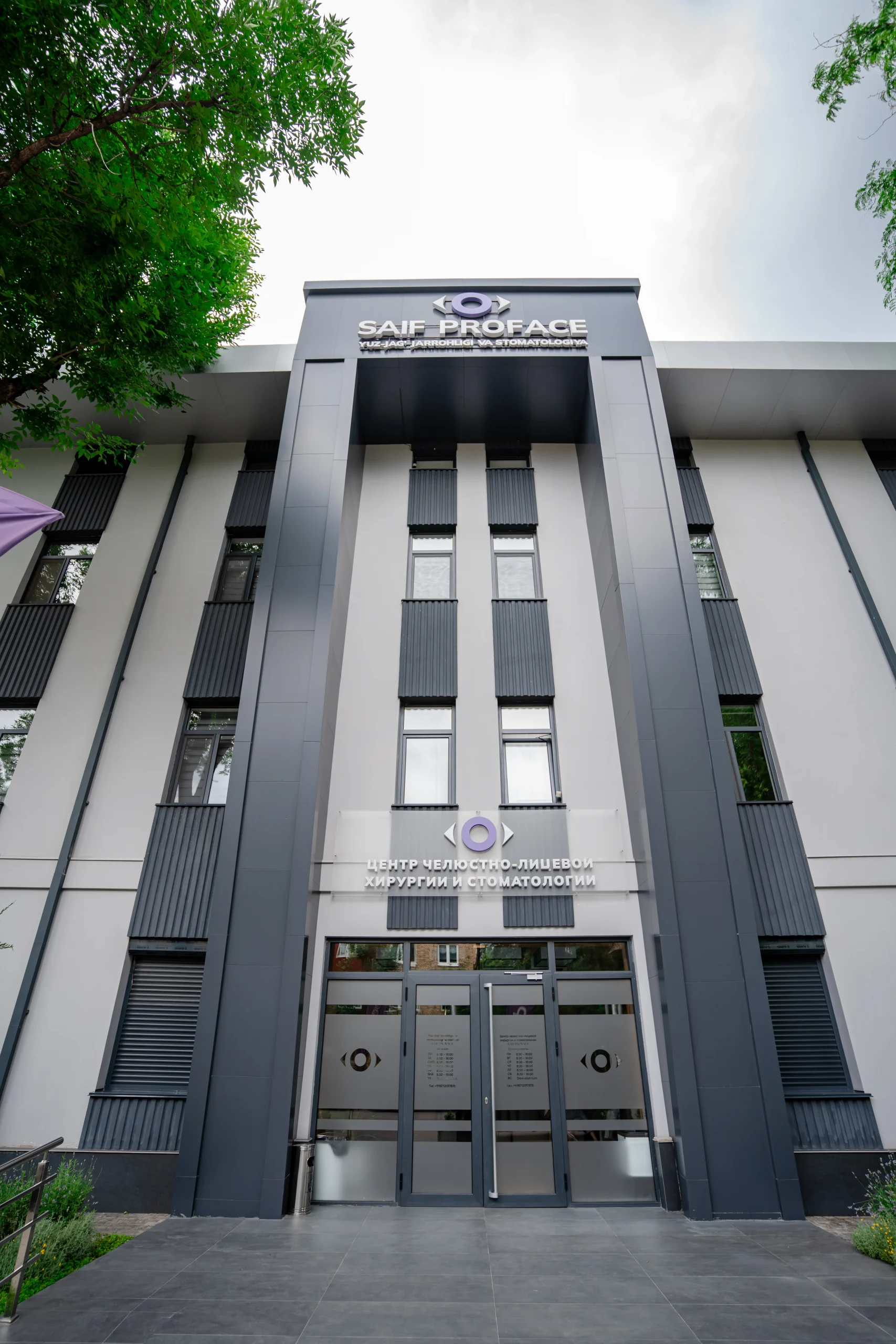 SAIF PROFACE — фасад